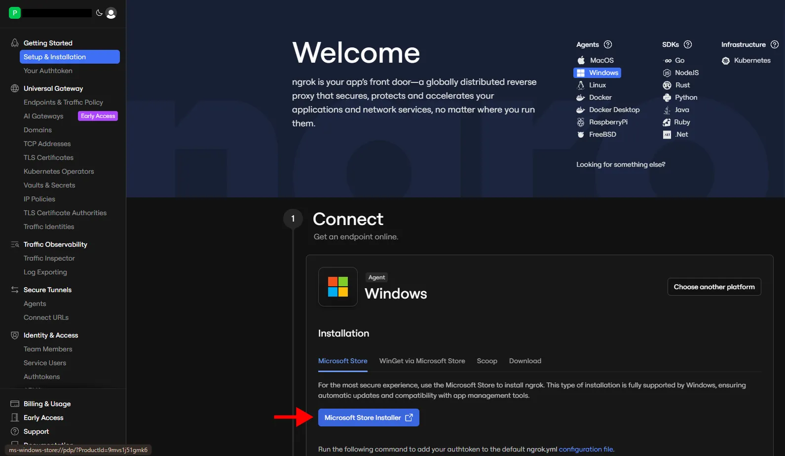 Přechod do Microsoft Store z ngrok dashboardu