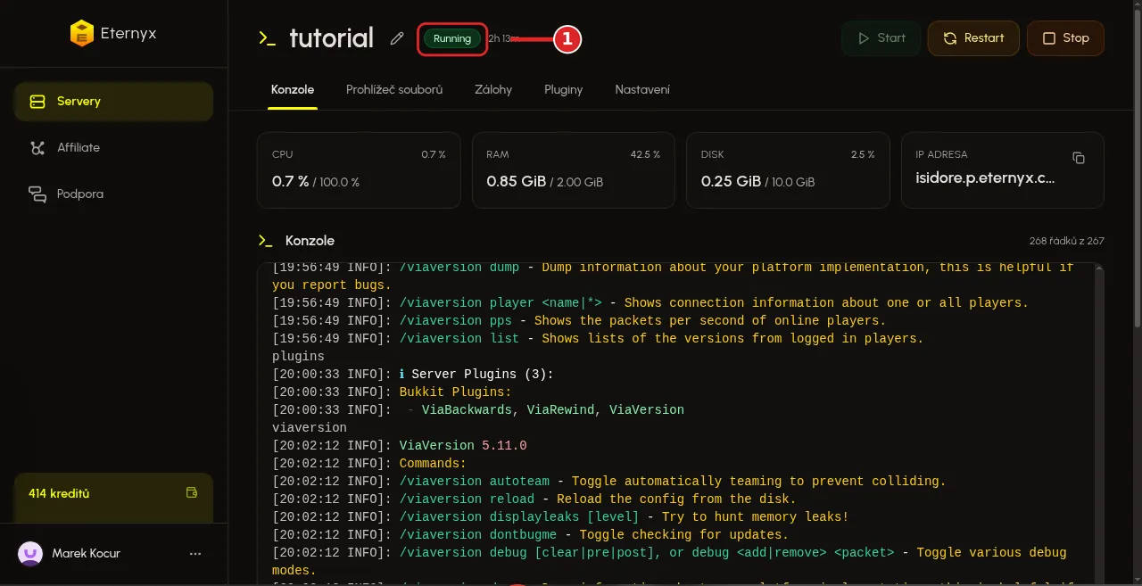 Stav Running v hlavičce Minecraft serveru tutorial v Eternyx dashboardu