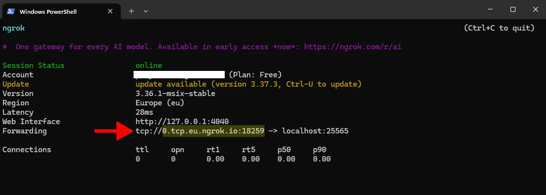 Zkopírování ngrok adresy z terminálu