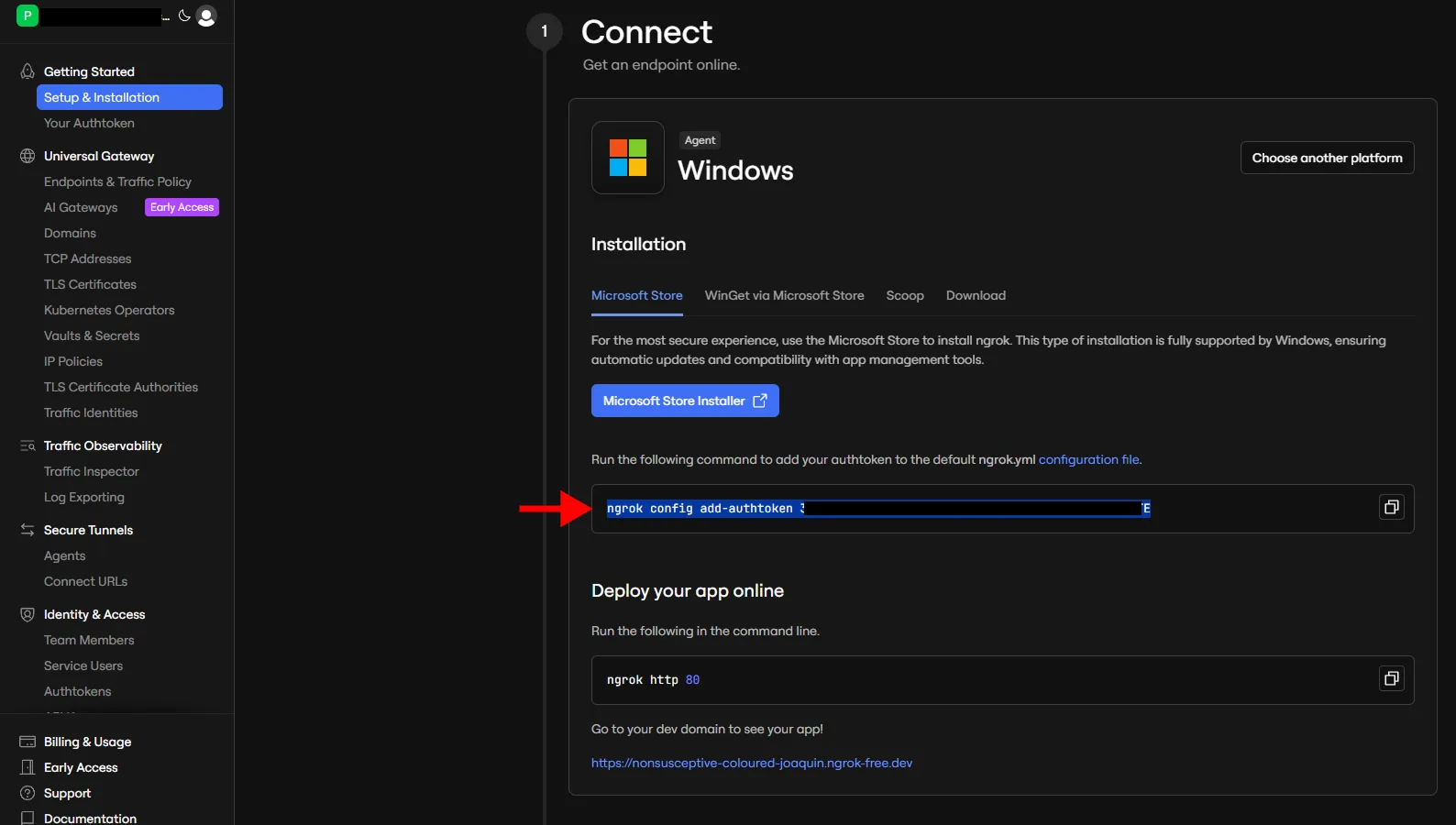 Zkopírování ngrok tokenu z dashboardu