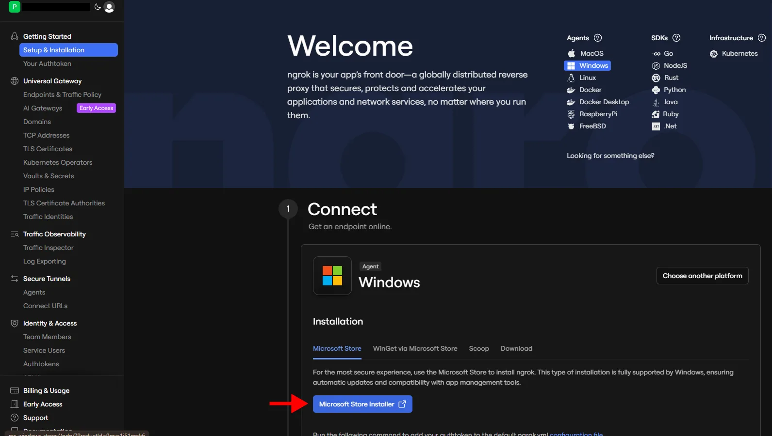 Přechod do Microsoft Store z ngrok dashboardu